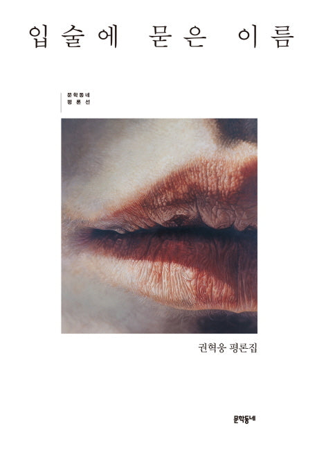 입술에 묻은 이름(문학동네 평론선)