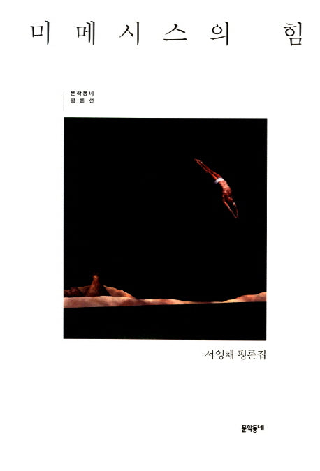 미메시스의 힘(문학동네 평론선)