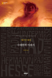 수레바퀴 아래서(세계문학전집 102)