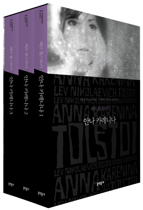 안나 카레니나 박스 세트(세계문학전집)(전3권)