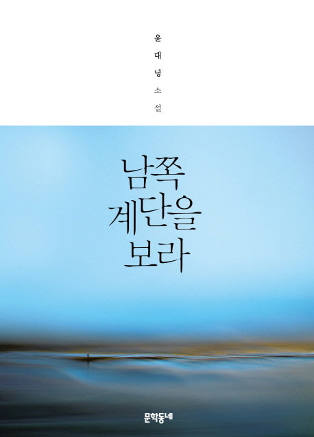 남쪽 계단을 보라(양장본 Hardcover)