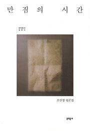 만짐의 시간(문학동네 평론선)