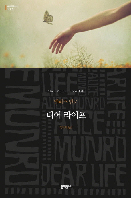 디어 라이프(세계문학전집 113)