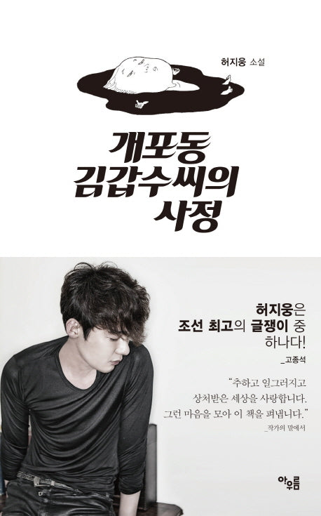 개포동 김갑수씨의 사정(양장본 HardCover)