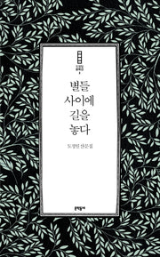 별들 사이에 길을 놓다(도정일 문학선 2)