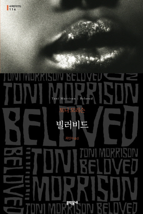 빌러비드(세계문학전집 116)