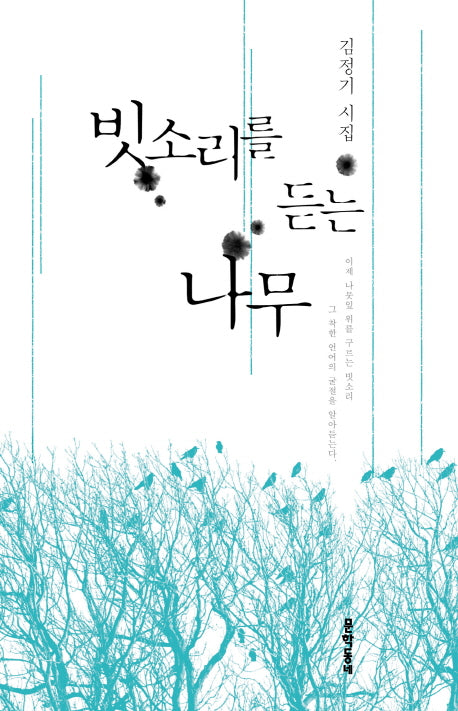 빗소리를 듣는 나무(양장본 HardCover)