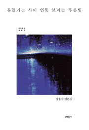 흔들리는 사이 언뜻 보이는 푸른빛(문학동네 평론선)