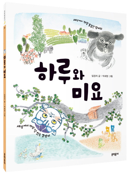 하루와 미요(초승달문고 35)