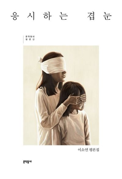 응시하는 겹눈(문학동네 평론선)