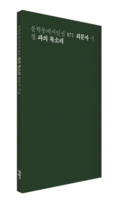 파의 목소리(문학동네시인선 71)