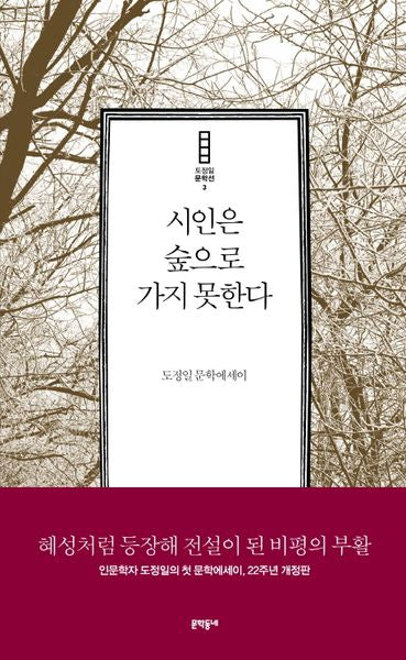시인은 숲으로 가지 못한다(도정일 문학선 3)