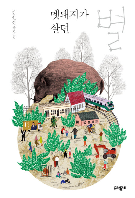 멧돼지가 살던 별(문학동네 청소년 36)