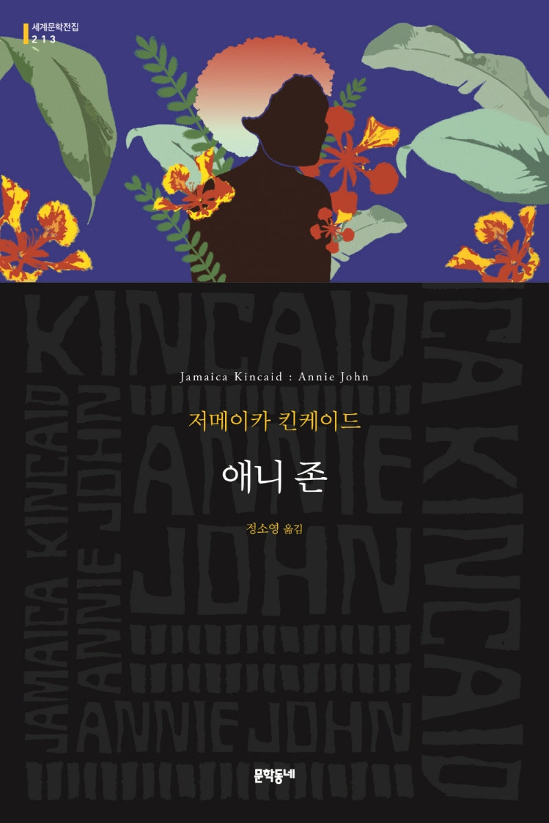 애니 존(세계문학전집 213)