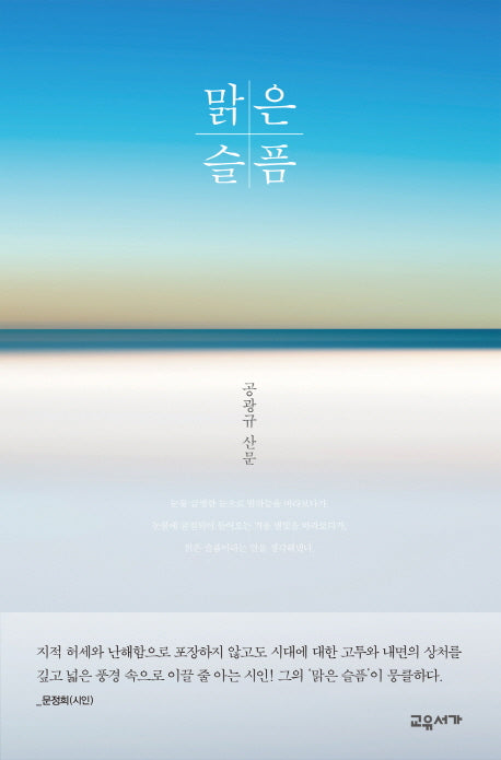 맑은 슬픔