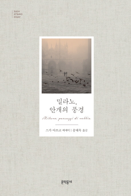밀라노, 안개의 풍경(문학동네 세계문학)(양장본 Hardcover)