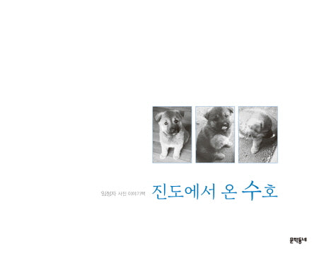 진도에서 온 수호