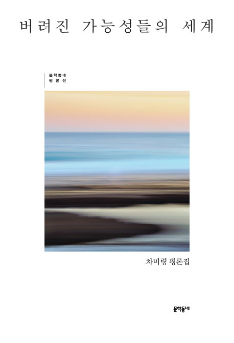 버려진 가능성들의 세계(문학동네 평론선)
