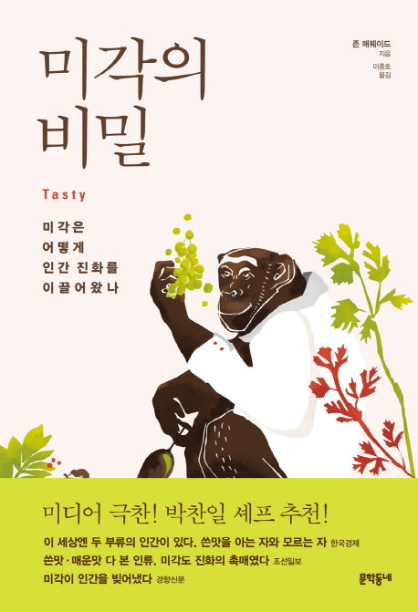 미각의 비밀