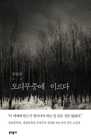 오리무중에 이르다(문학동네 소설)(양장본 HardCover)