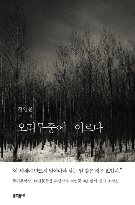 오리무중에 이르다(문학동네 소설)(양장본 HardCover)