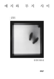 예지와 무지 사이(문학동네 평론선)