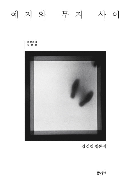 예지와 무지 사이(문학동네 평론선)