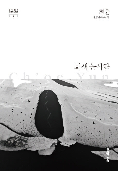 회색 눈사람(문학동네 한국문학전집 22)(양장본 Hardcover)