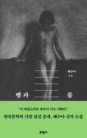 뱀과 물(배수아 컬렉션)(양장본 Hardcover)