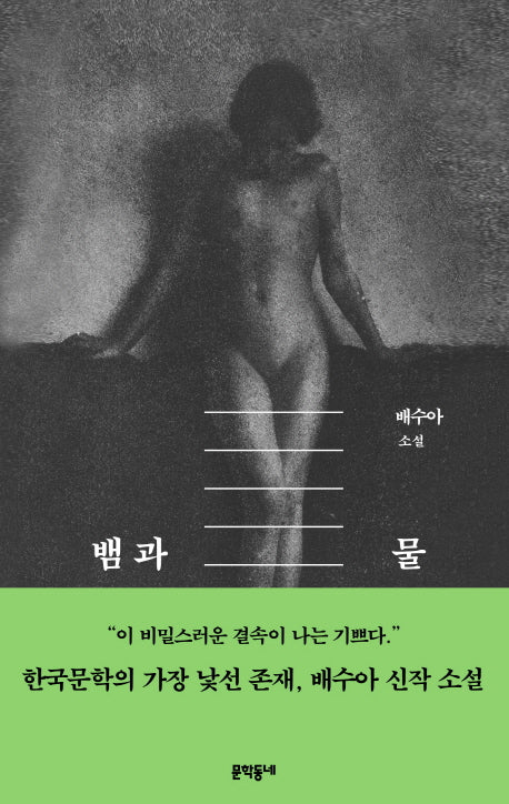 뱀과 물(배수아 컬렉션)(양장본 Hardcover)