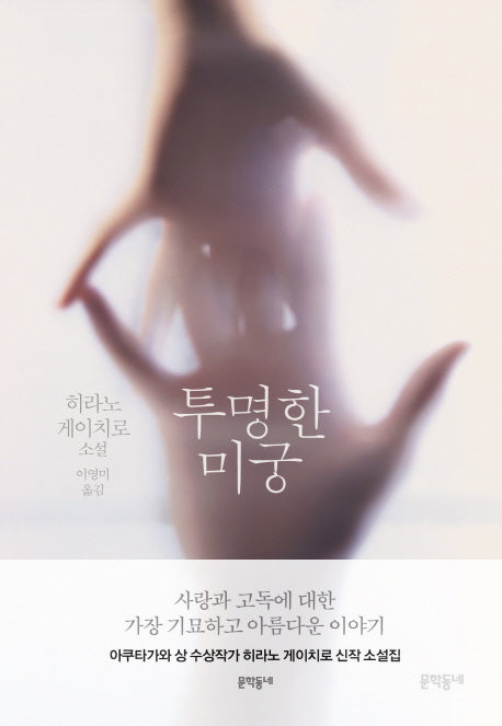 투명한 미궁(문학동네 세계문학)(양장본 HardCover)