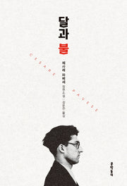 달과 불(체사레 파베세 선집 3)