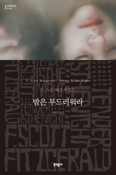 밤은 부드러워라(세계문학전집 165)