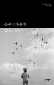 공중전과 문학(인문 서가에 꽂힌 작가들)(양장본 Hardcover)