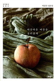너의 수만 가지 아름다운 이름을 불러줄게(문학동네 평론선)