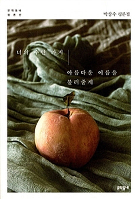 너의 수만 가지 아름다운 이름을 불러줄게(문학동네 평론선)