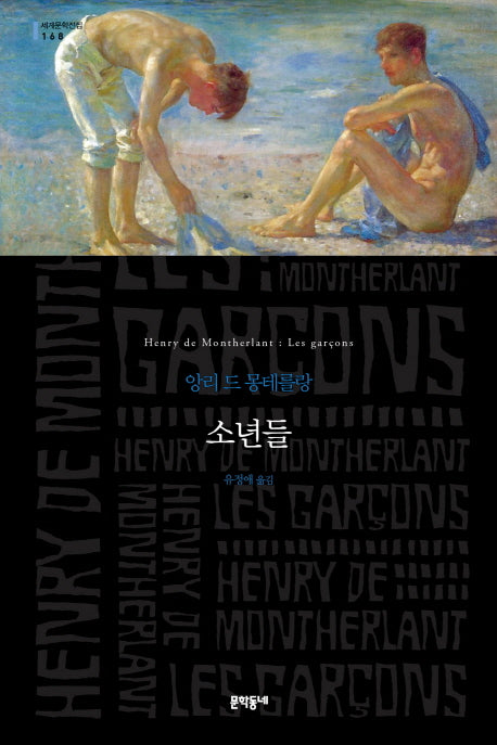 소년들(세계문학전집 168)