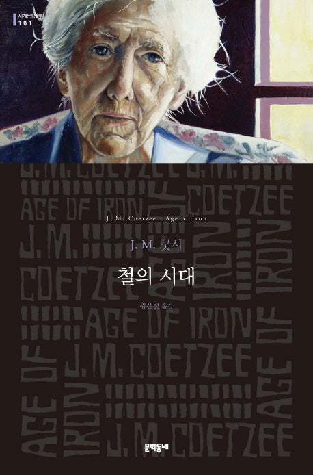 철의 시대(세계문학전집 181)