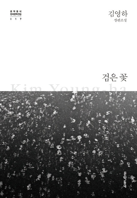 검은 꽃(문학동네 한국문학전집 17)(양장본 Hardcover)
