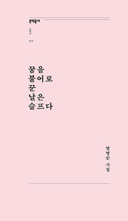 꿈을 불어로 꾼 날은 슬프다(문학동네포에지 13)