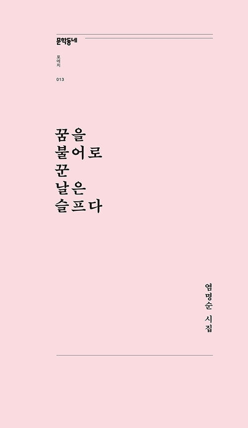 꿈을 불어로 꾼 날은 슬프다(문학동네포에지 13)