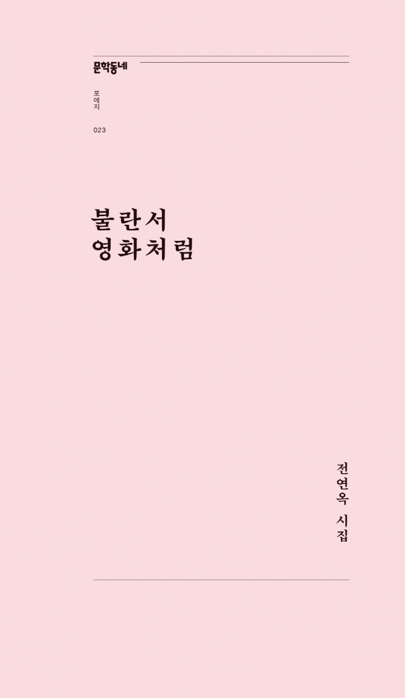 불란서 영화처럼(문학동네포에지 23)