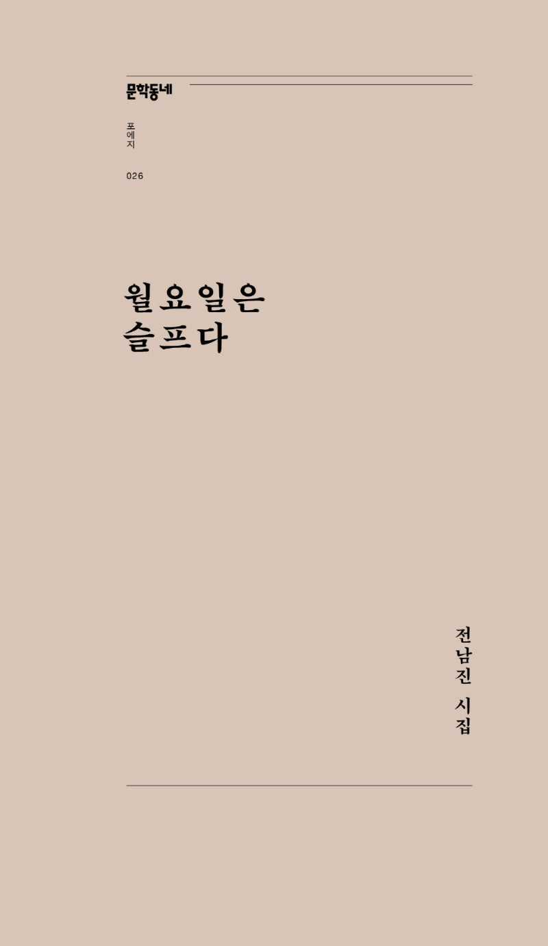 월요일은 슬프다(문학동네포에지 26)