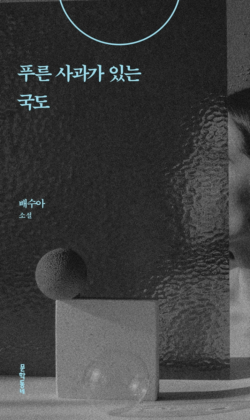 푸른 사과가 있는 국도(배수아 컬렉션)(양장본 Hardcover)