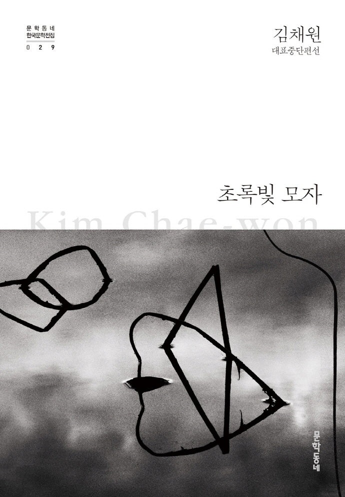 초록빛 모자(문학동네 한국문학전집 29)(양장본 Hardcover)