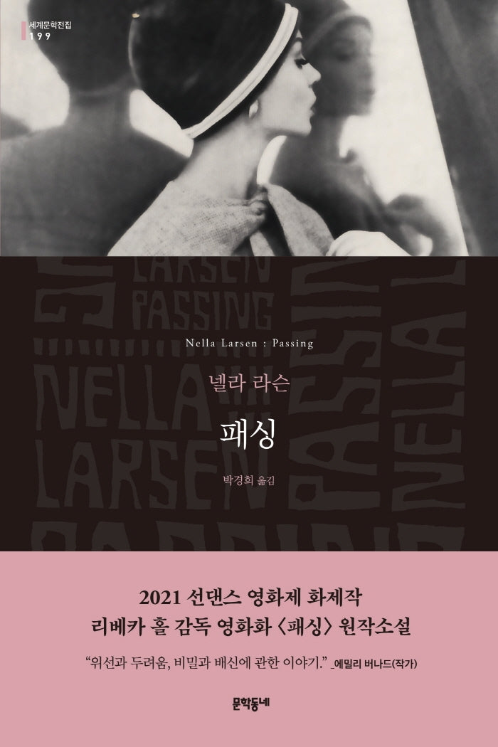 패싱(Passing)(세계문학전집 199)(반양장)