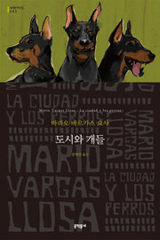 도시와 개들(문학동네 세계문학전집 202)