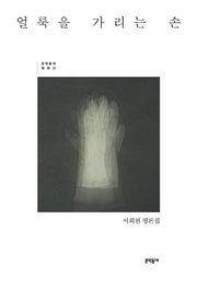 얼룩을 가리는 손(문학동네 평론선)