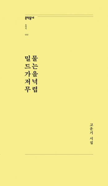 밀물 드는 가을 저녁 무렵(문학동네포에지 32)
