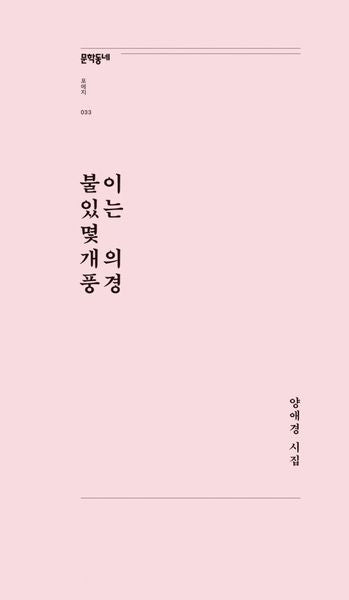 불이 있는 몇 개의 풍경(문학동네포에지 33)